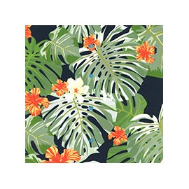 VENEZIANO FSIA CF 100% ALG  145 CMS T0717