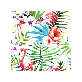 VENEZIANO FSIA CF 100% ALG  145 CMS T0711