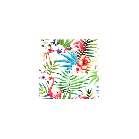 VENEZIANO FSIA CF 100% ALG  145 CMS T0711