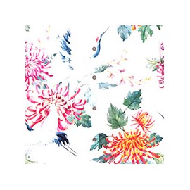 VENEZIANO FSIA CF 100% ALG  145 CMS T0702