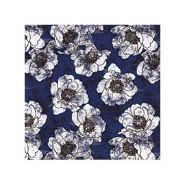 VENEZIANO FSIA CF 100% ALG  145 CMS S0697