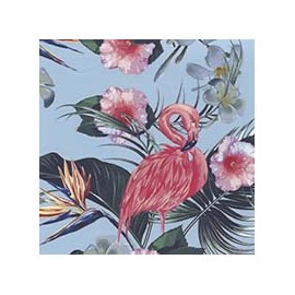 VENEZIANO FSIA CF 100% ALG  145 CMS R0650