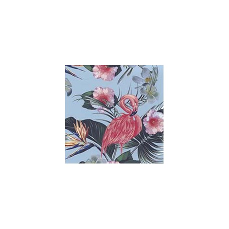VENEZIANO FSIA CF 100% ALG  145 CMS R0650