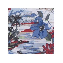 VENEZIANO FSIA CF 100% ALG  145 CMS R0660