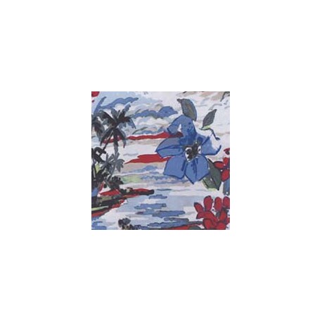 VENEZIANO FSIA CF 100% ALG  145 CMS R0660