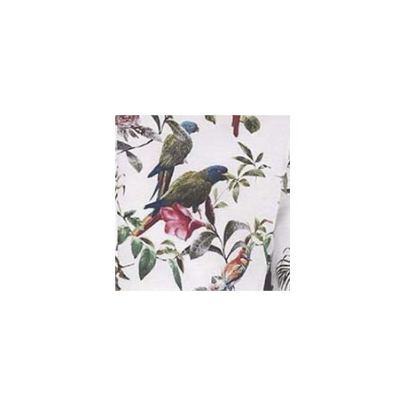 VENEZIANO FSIA CF 100% ALG  145 CMS R0669