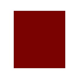 PARIS C/O 50% POL 50% ALG H. EN MEXICO 145 CMS ROJO