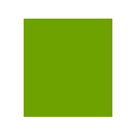 PARIS C/C 50% POL 50% ALG H. EN MEXICO 145 CMS VERDE