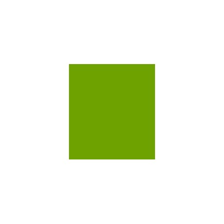 PARIS C/C 50% POL 50% ALG H. EN MEXICO 145 CMS VERDE