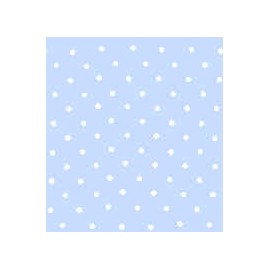 ORGANDI ROYAL FSIA 65% POL 35% ALG H. EN EL SALVADOR 135 CMS CIELO-PUNTOS