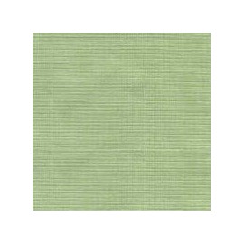 MARQUISE CF C/C 51% POL 49%ALG  135 CMS VERDE
