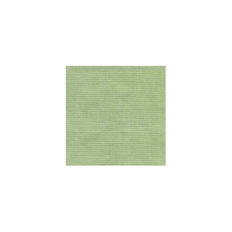 MARQUISE CF C/C 51% POL 49%ALG  135 CMS VERDE
