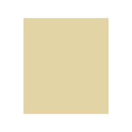 JAI ALAI 65% POL 35% ALG H. EN GUATEMALA 150 CMS BEIGE