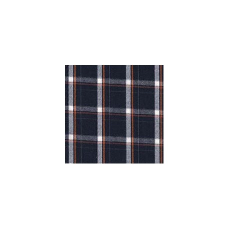 DERBY 65% ALG 35% POL H. EN INDIA 147 CMS A001