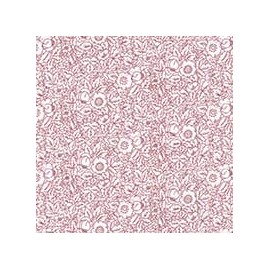 VENEZIANO FSIA CF 100% ALG  145 CMS Y0851