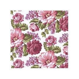 VENEZIANO FSIA CF 100% ALG  145 CMS Y0855