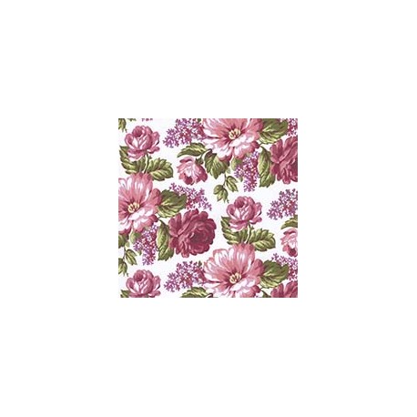 VENEZIANO FSIA CF 100% ALG  145 CMS Y0855