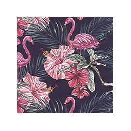 VENEZIANO FSIA CF 100% ALG  145 CMS Y0862