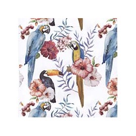 VENEZIANO FSIA CF 100% ALG  145 CMS Y0863
