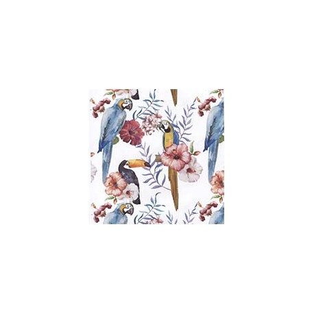 VENEZIANO FSIA CF 100% ALG  145 CMS Y0863