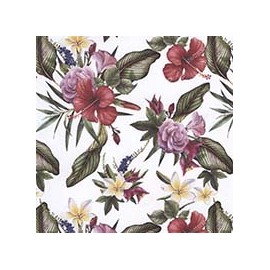 VENEZIANO FSIA CF 100% ALG  145 CMS Y0865