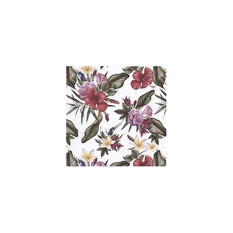 VENEZIANO FSIA CF 100% ALG  145 CMS Y0865