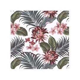VENEZIANO FSIA CF 100% ALG  145 CMS Y0866