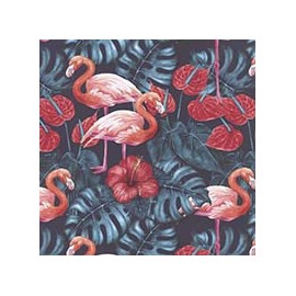 VENEZIANO FSIA CF 100% ALG  145 CMS Y0871