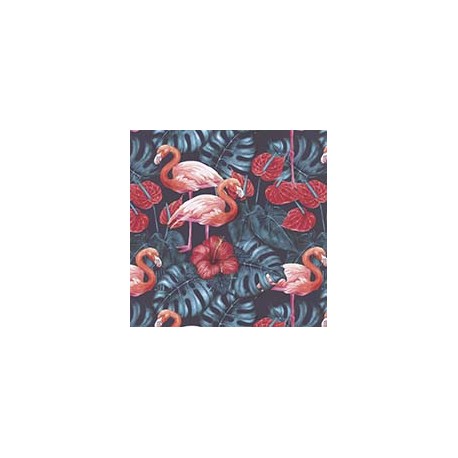 VENEZIANO FSIA CF 100% ALG  145 CMS Y0871
