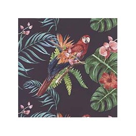 VENEZIANO FSIA CF 100% ALG  145 CMS Y0872