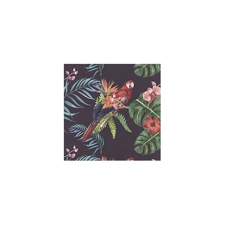 VENEZIANO FSIA CF 100% ALG  145 CMS Y0872
