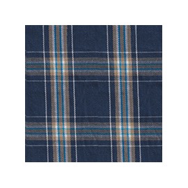 DERBY 65% ALG 35% POL H. EN INDIA 147 CMS A006