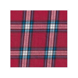 DERBY 65% ALG 35% POL H. EN INDIA 147 CMS A007
