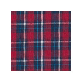 DERBY 65% ALG 35% POL H. EN INDIA 147 CMS A008