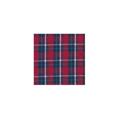 DERBY 65% ALG 35% POL H. EN INDIA 147 CMS A008