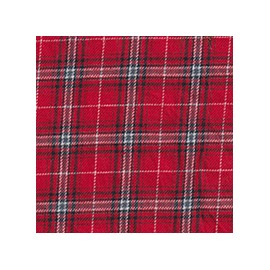 DERBY 65% ALG 35% POL H. EN INDIA 147 CMS A009