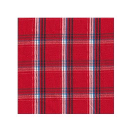 DERBY 65% ALG 35% POL H. EN INDIA 147 CMS A010