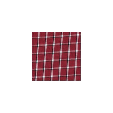 DERBY 65% ALG 35% POL H. EN INDIA 147 CMS A015