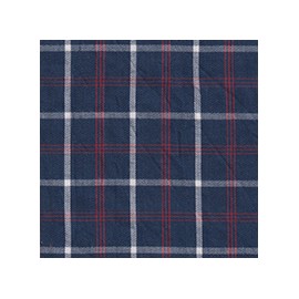 DERBY 65% ALG 35% POL H. EN INDIA 147 CMS A021