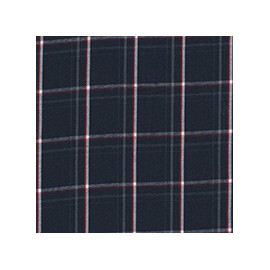 DERBY 65% ALG 35% POL H. EN INDIA 147 CMS A026