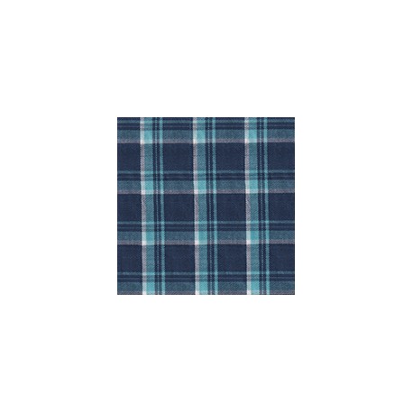 DERBY 65% ALG 35% POL H. EN INDIA 147 CMS A031