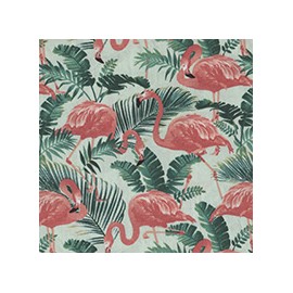 VENEZIANO FSIA CF 100% ALG  145 CMS X0828