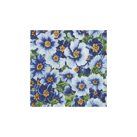 VENEZIANO FSIA CF 100% ALG  145 CMS X0821