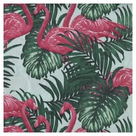 VENEZIANO FSIA CF 100% ALG  145 CMS X0817