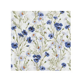 VENEZIANO FSIA CF 100% ALG  145 CMS X0815