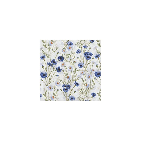 VENEZIANO FSIA CF 100% ALG  145 CMS X0815