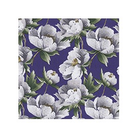 VENEZIANO FSIA CF 100% ALG  145 CMS W0783