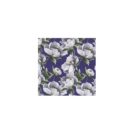 VENEZIANO FSIA CF 100% ALG  145 CMS W0783