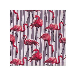 VENEZIANO FSIA CF 100% ALG  145 CMS W0768