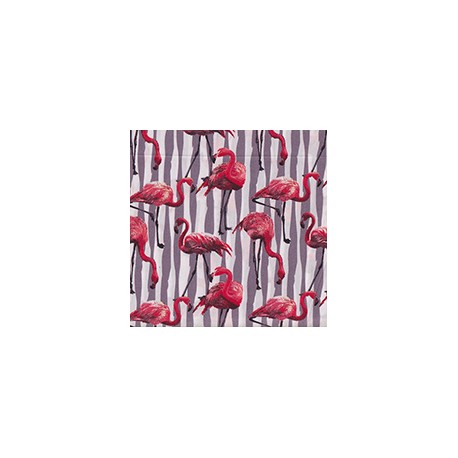 VENEZIANO FSIA CF 100% ALG  145 CMS W0768